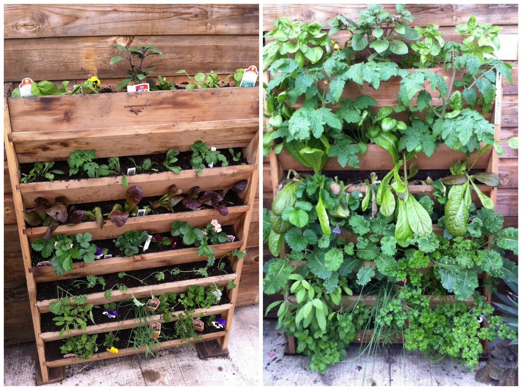 Gronomics Vertical Garden Bed Review: The Ultimate Guide